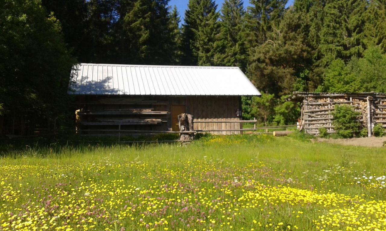 Ferienwohnung Gabi Forbach Exterior foto